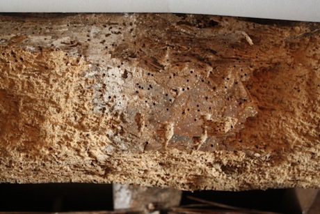 Tarli del legno